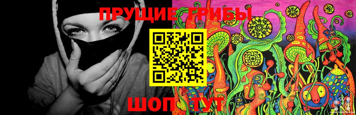 Галлюциногенные грибы Psilocybe Дмитров