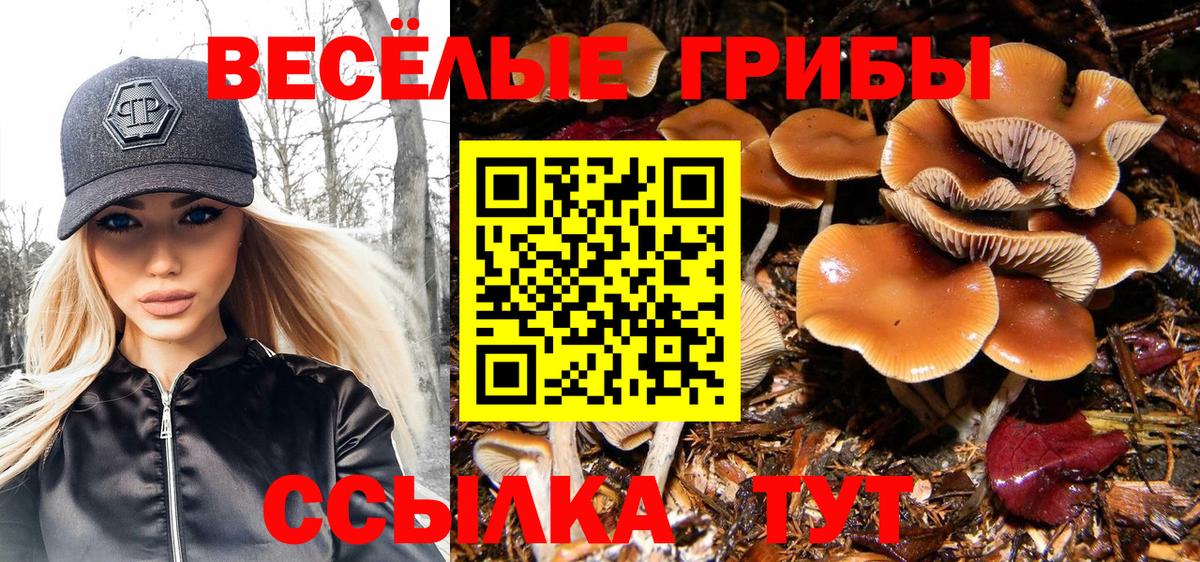 Псилоцибиновые грибы Cubensis  Псилоцибиновые грибы Cubensis  Дмитров  как найти закладки  Вход с VPN 